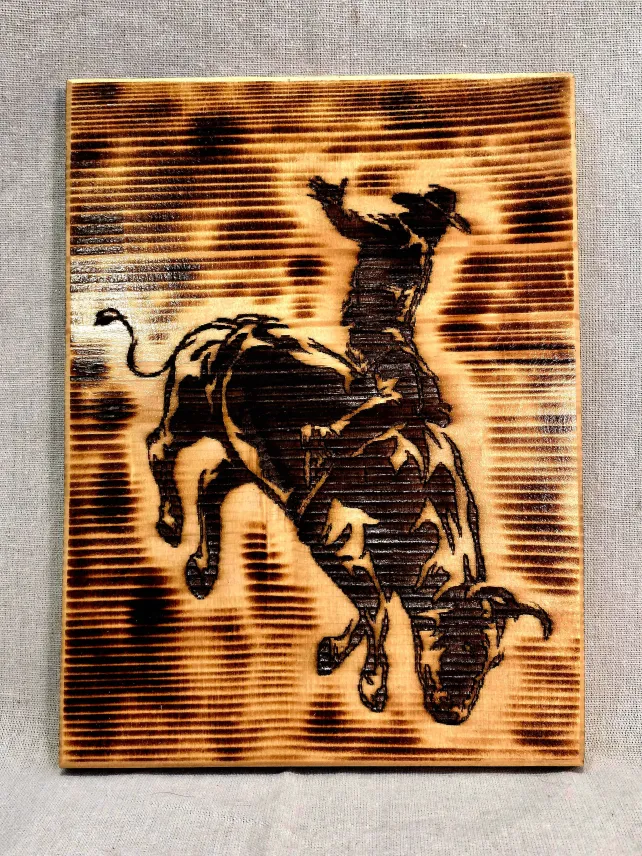 bullrider