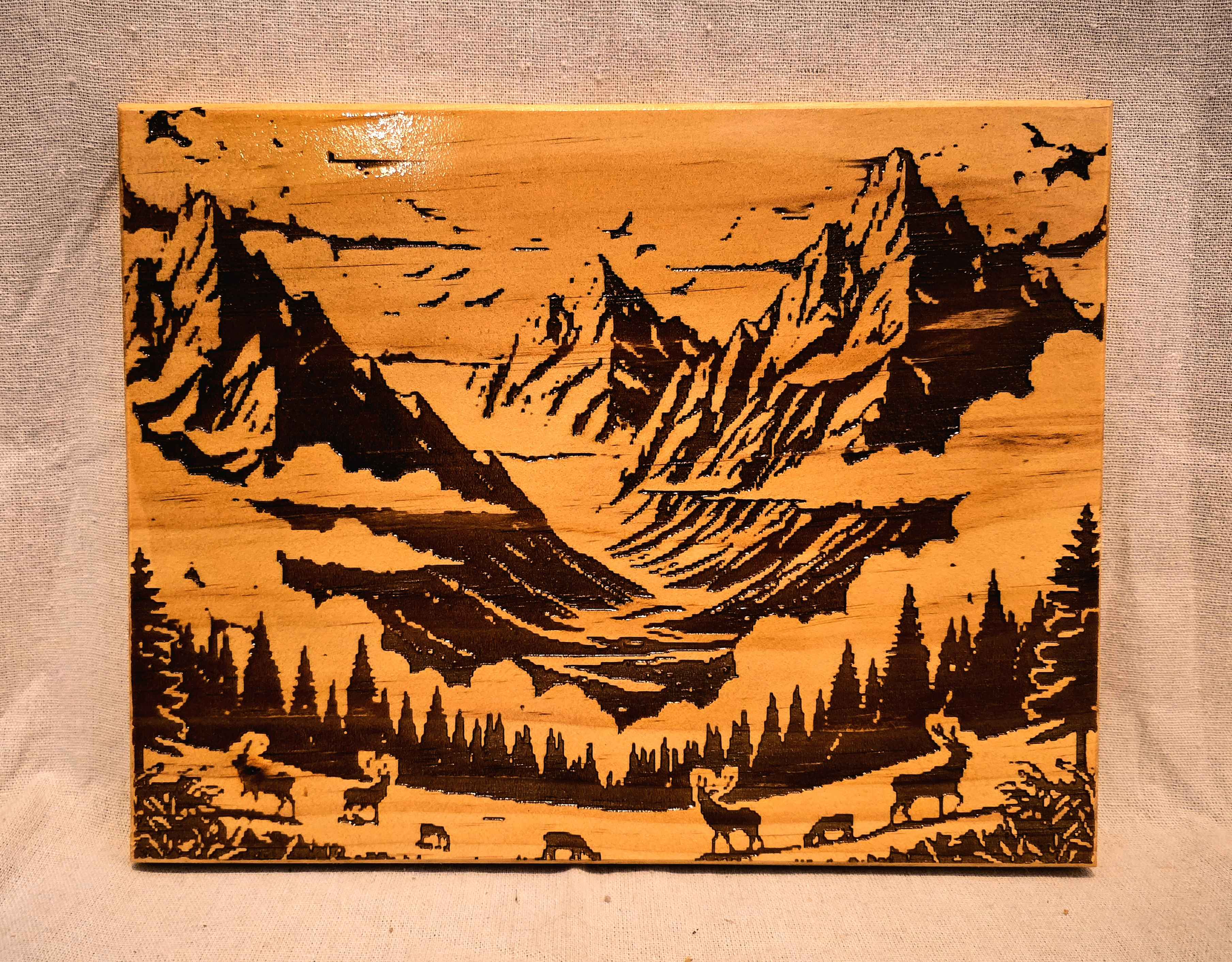 elkmountains